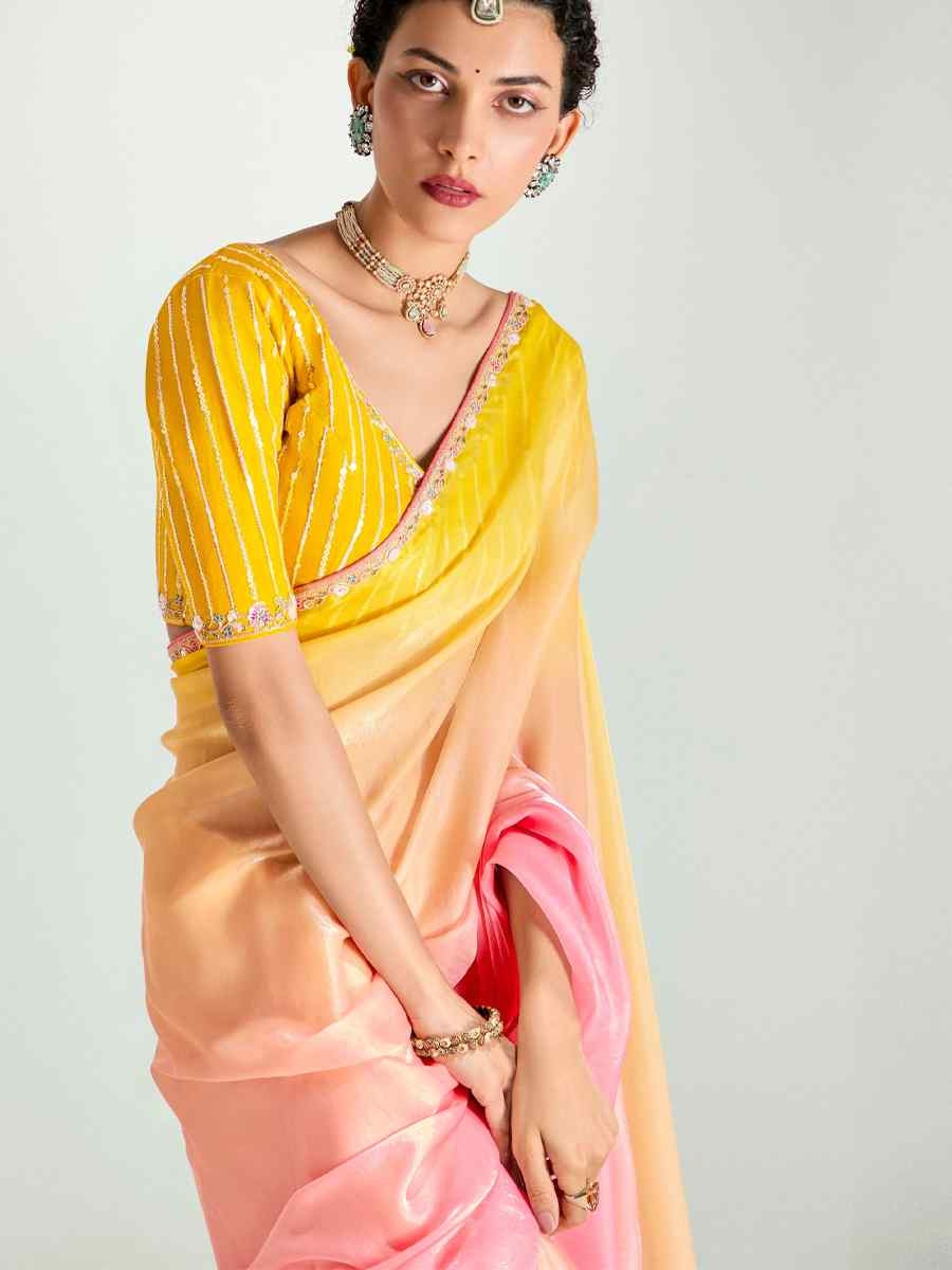 Multi Organza Tissue Embroidered Festival Wedding Fancy Heavy Border Saree