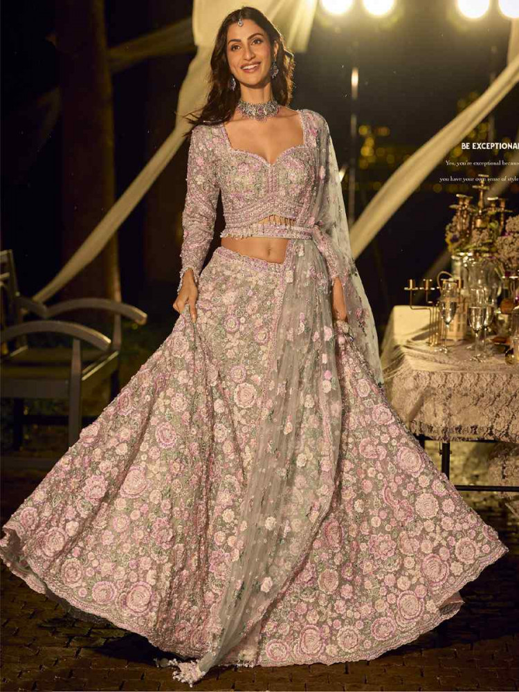 Image of Multi Pure Net Embroidered Wedding Reception Festival Heavy Border Lehenga Choli