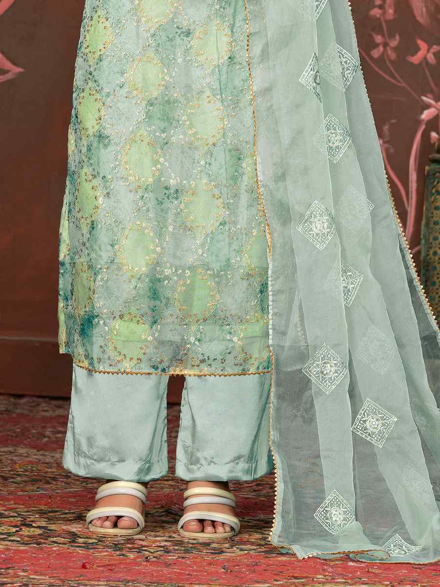 Multi Pure Organza Embroidered Casual Festival Pant Salwar Kameez