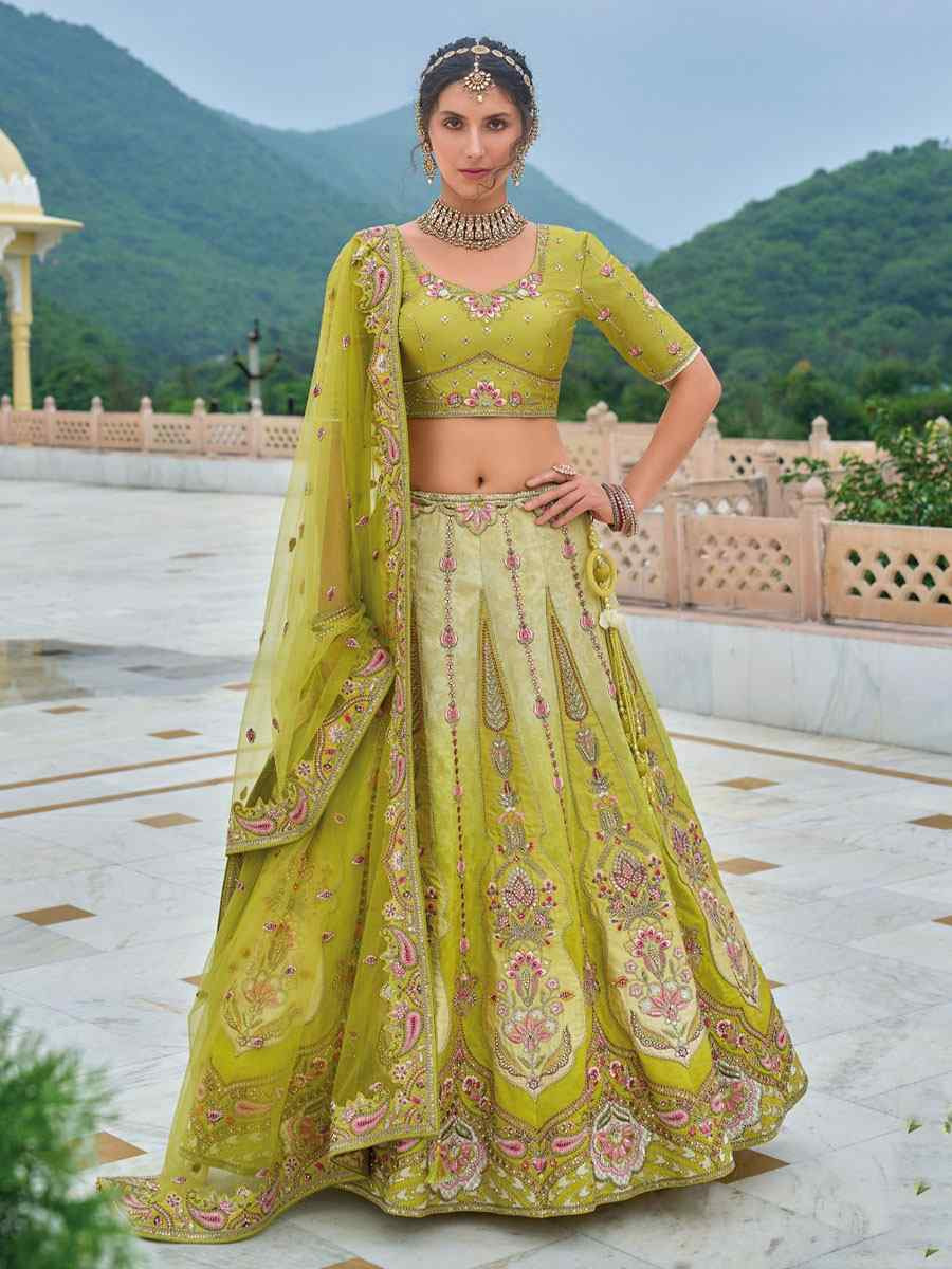 Multi Silk Embroidered Festival Reception Bridal Traditional Heavy Border Lehenga Choli