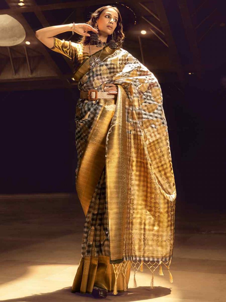 Multi Silk Handwoven Casual Festival Classic Style Saree