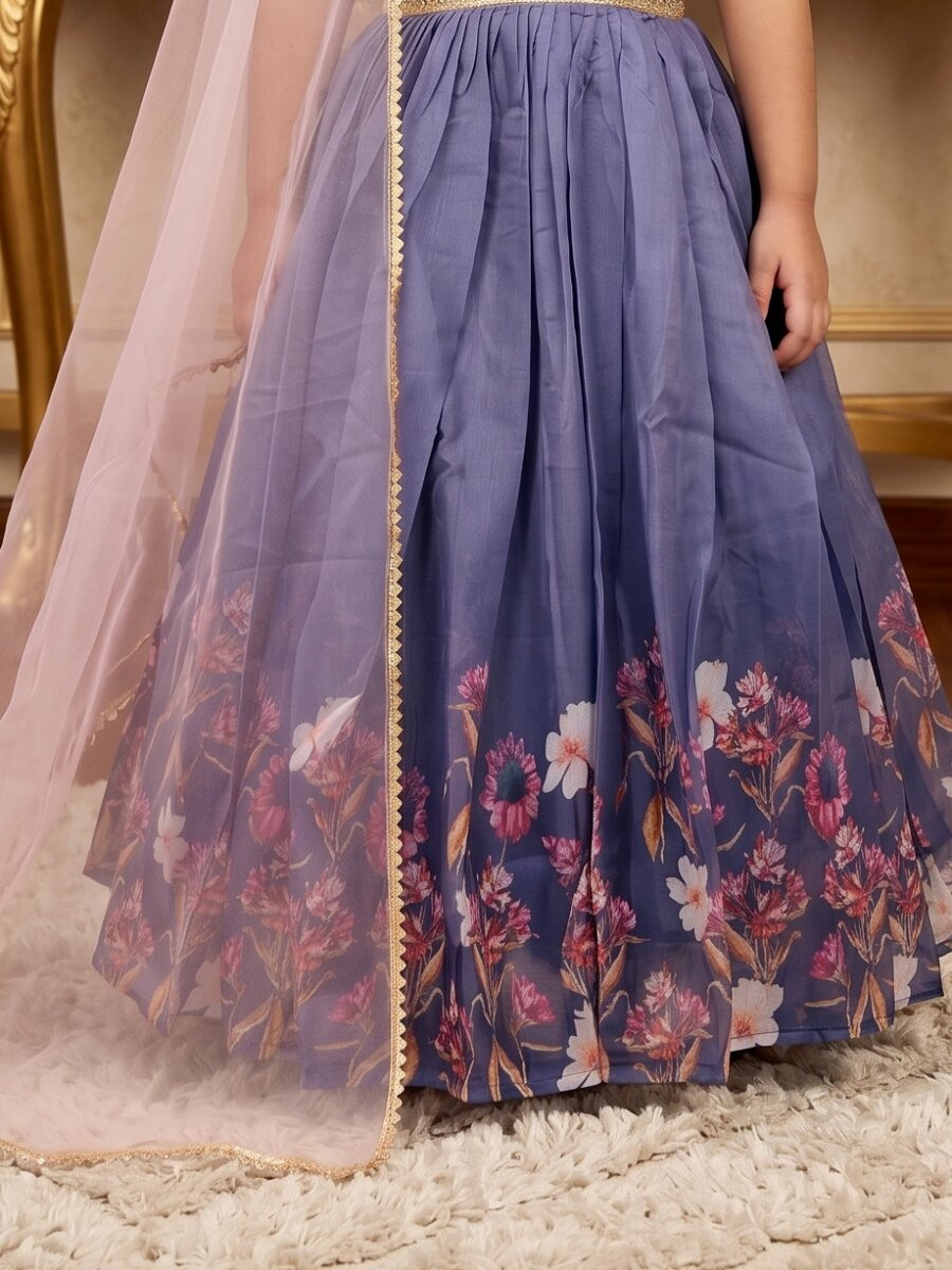 Multi Taby Silk Organza Printed Ethnic Casual Festival Party Wedding Gown