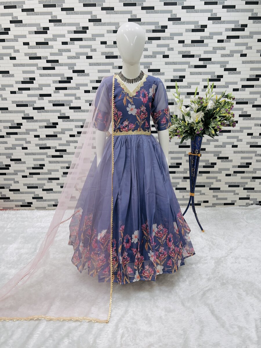 Multi Taby Silk Organza Printed Ethnic Casual Festival Party Wedding Gown