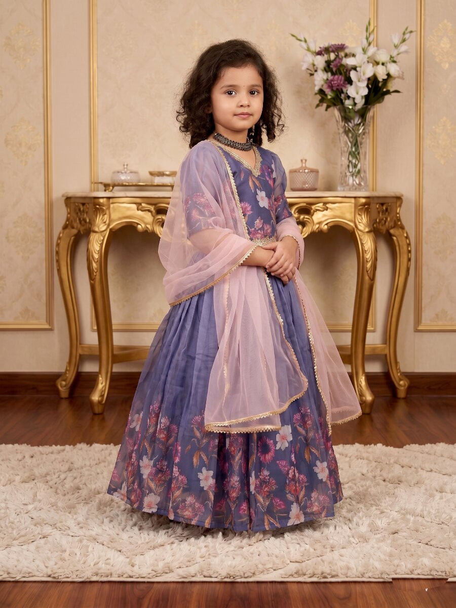 Multi Taby Silk Organza Printed Ethnic Casual Festival Party Wedding Gown