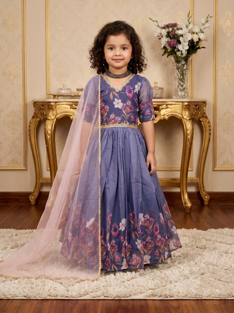Multi Taby Silk Organza Printed Ethnic Casual Festival Party Wedding Gown