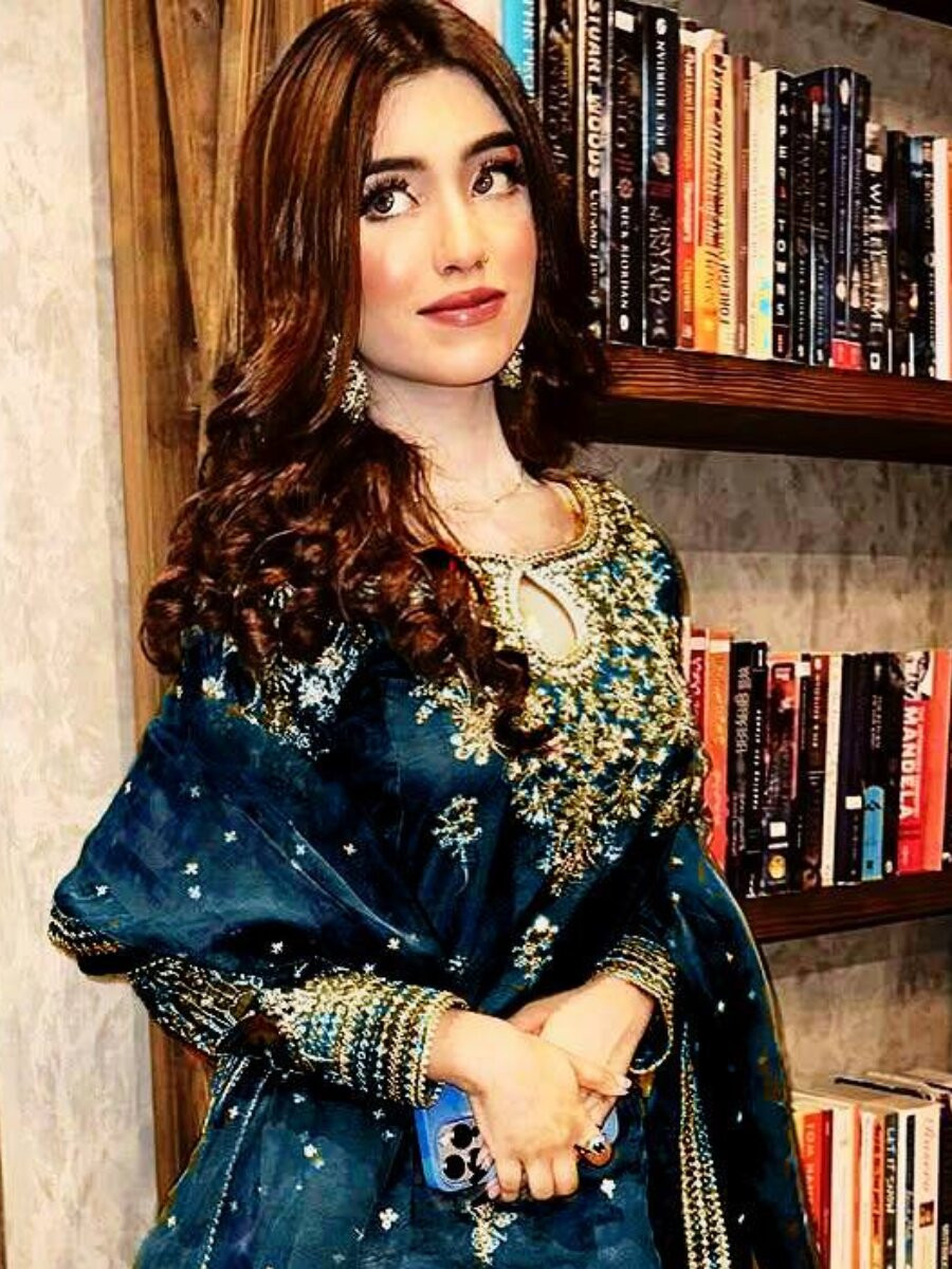 Navy Blue Organza silk Embroidery Zari Sequins Wedding Party Festival Casual Ready Palazzo Pant Salwar Kameez