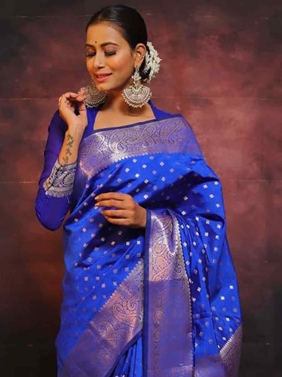Navy Blue Silk Handwoven Festival Casual Heavy Border Saree