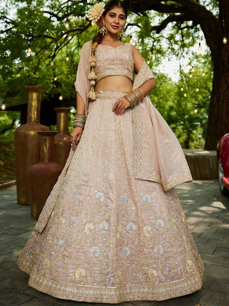 Nude Tissue Embroidered Festival Reception Wedding Party Wear Heavy Border Lehenga Choli