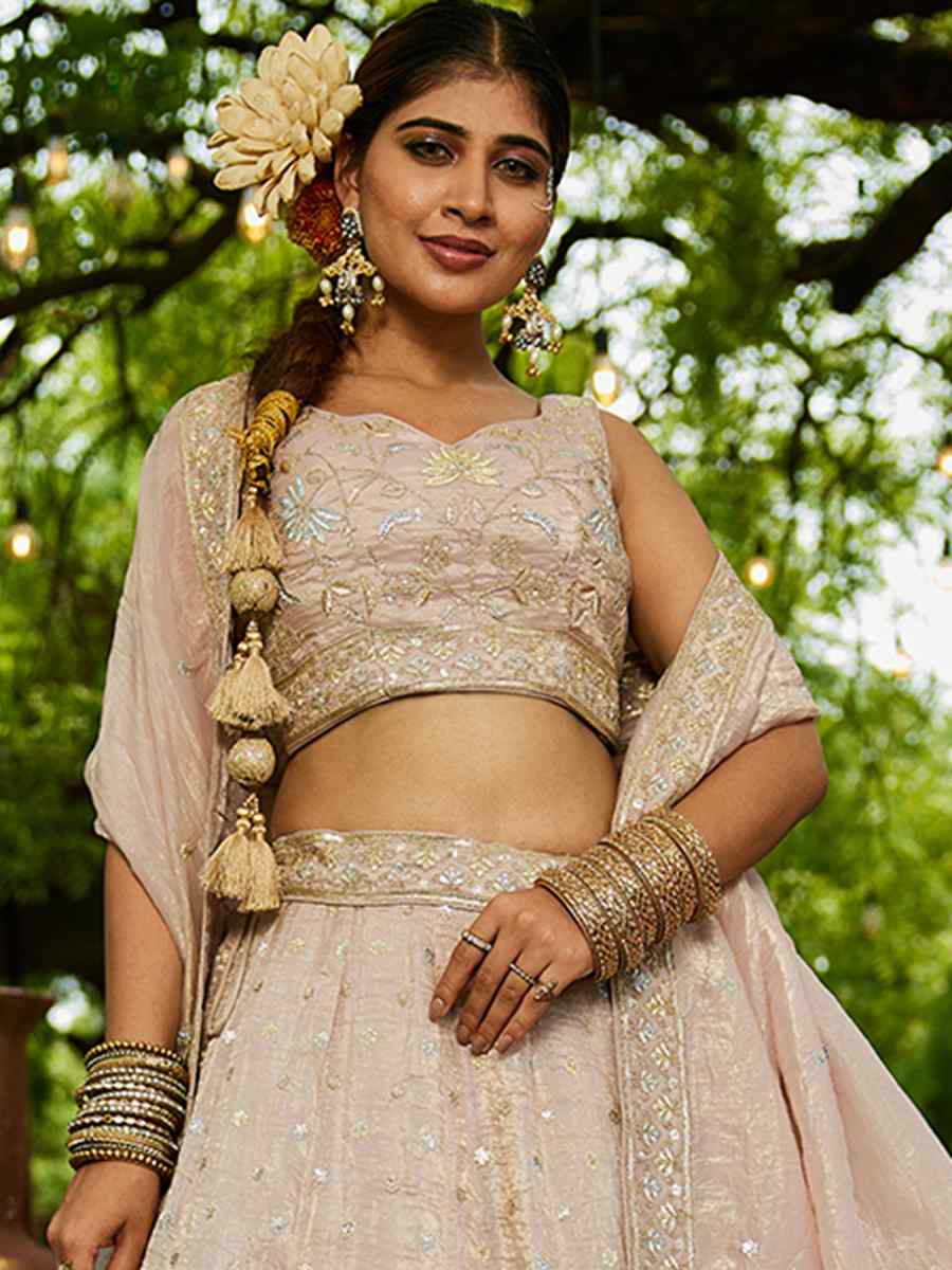 Nude Tissue Embroidered Festival Reception Wedding Party Wear Heavy Border Lehenga Choli
