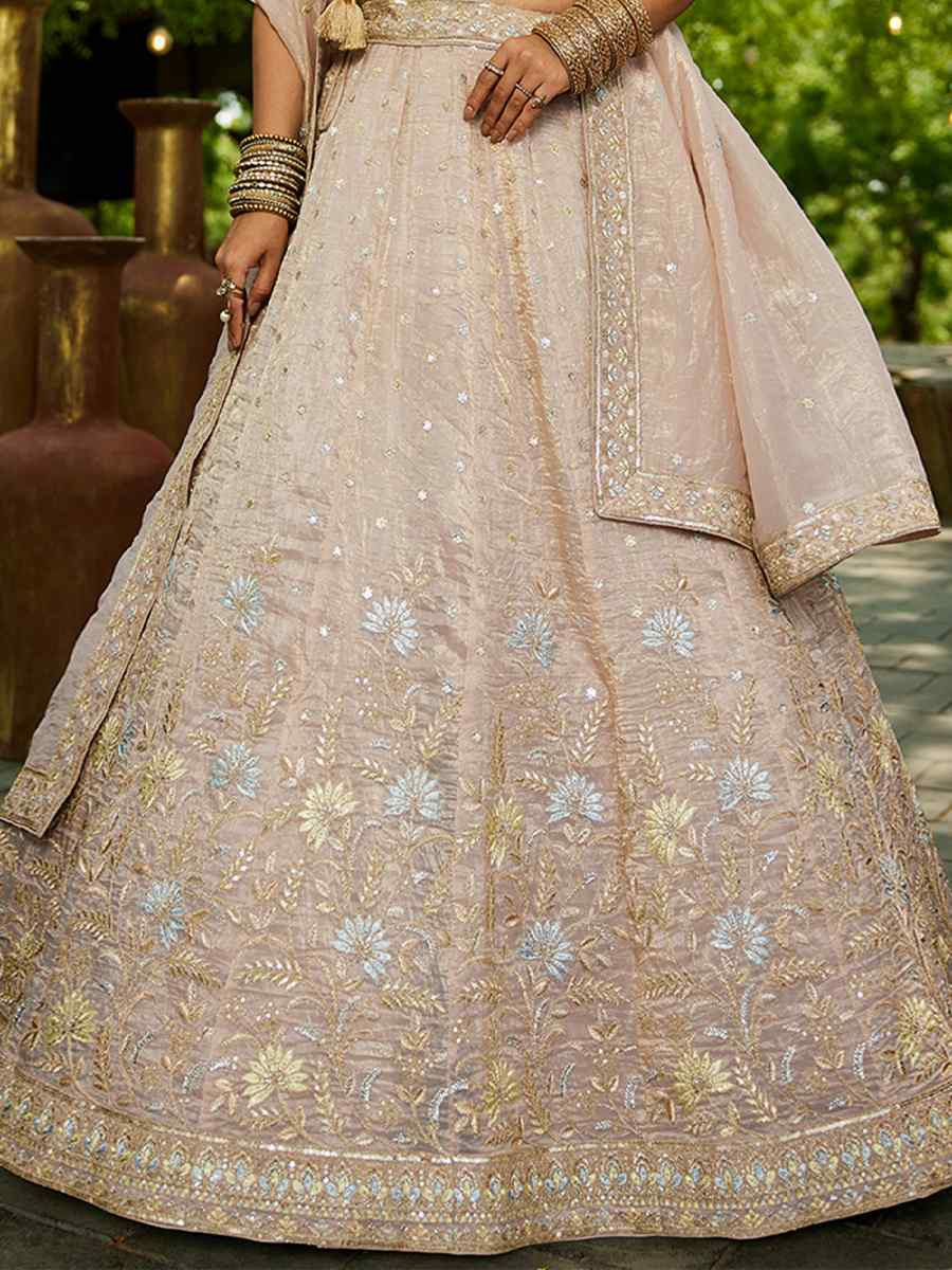 Nude Tissue Embroidered Festival Reception Wedding Party Wear Heavy Border Lehenga Choli