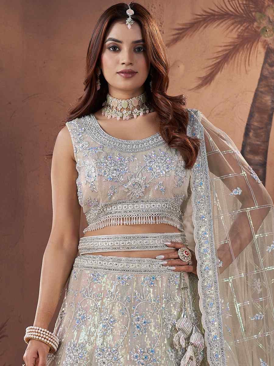 Off White Premium Net Embroidered Bridal Wedding Heavy Border Lehenga Choli