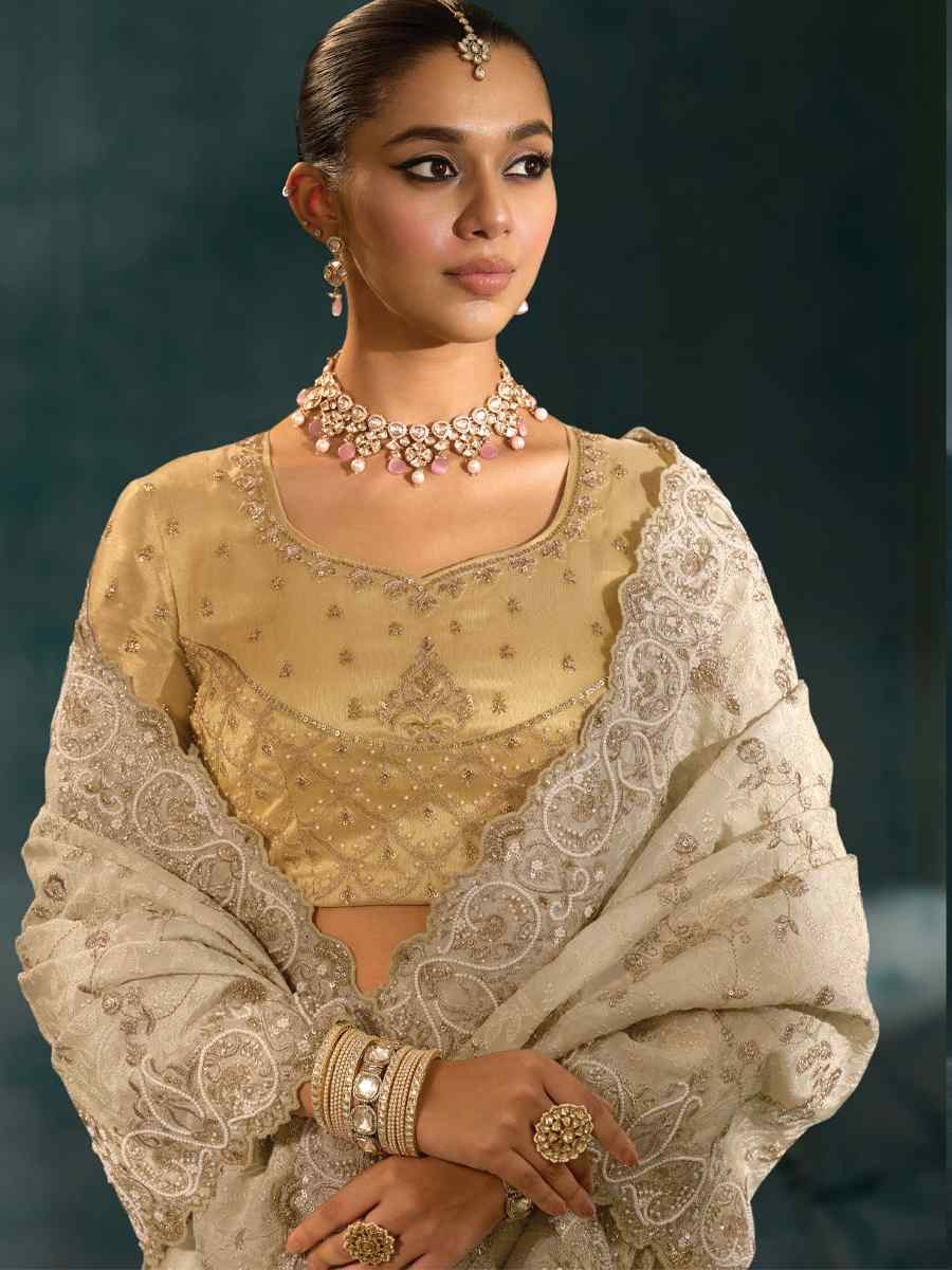 Off-White Pure Banarasi Jari Embroidery Bridal Reception Festival Wedding Fancy Heavy Border Saree