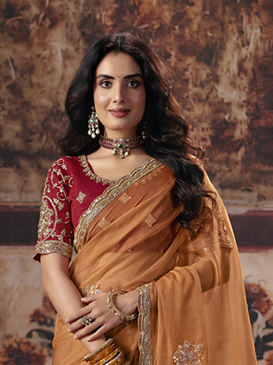 Orange Organza Embroidery Sequins Zari Wedding Reception Party Festival Casual Heavy Border Sarees