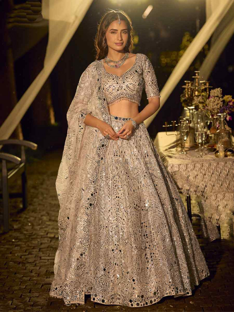 Image of Pastel Nude Gold Pure Net Embroidered Wedding Reception Festival Heavy Border Lehenga Choli