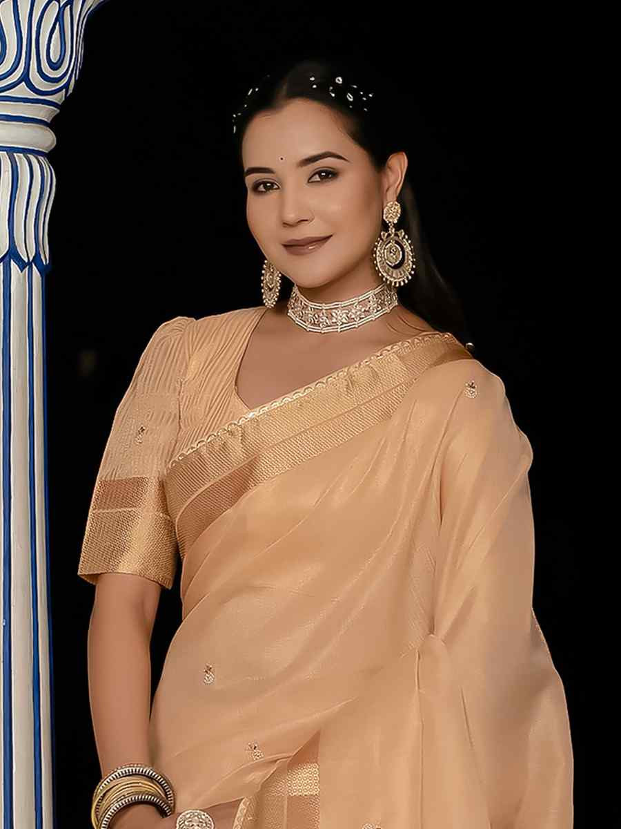 Peach Tissue Linen Handwoven Festival Wedding Fancy Heavy Border Saree