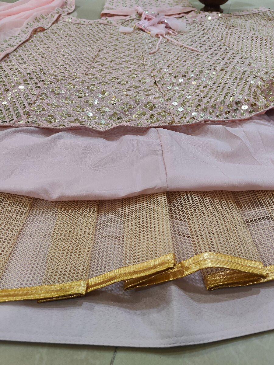 Pink Faux georgette Embroidery Sequins Zari Wedding Reception Party Festival Heavy Border Lehenga Choli