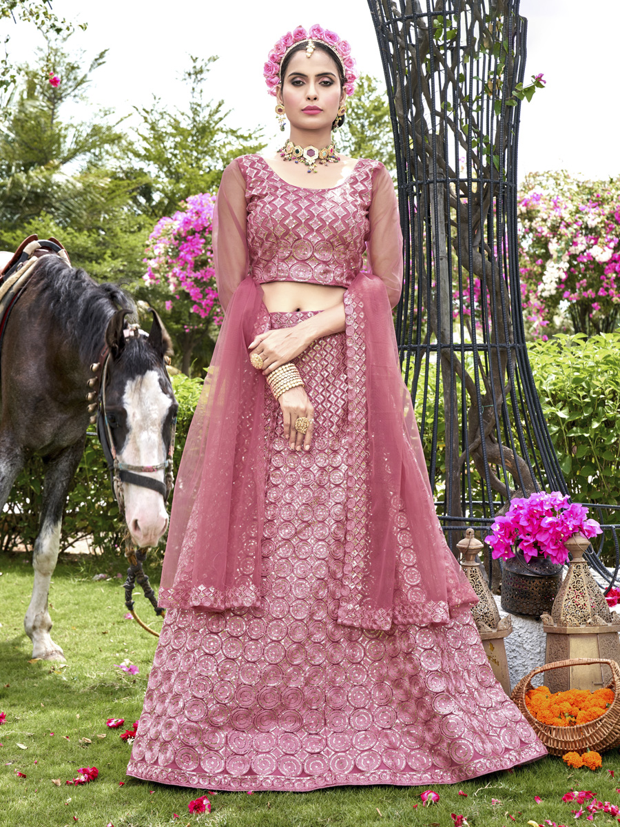 Pink Net Embroidered Party Wear Festival Heavy Border Lehenga Choli