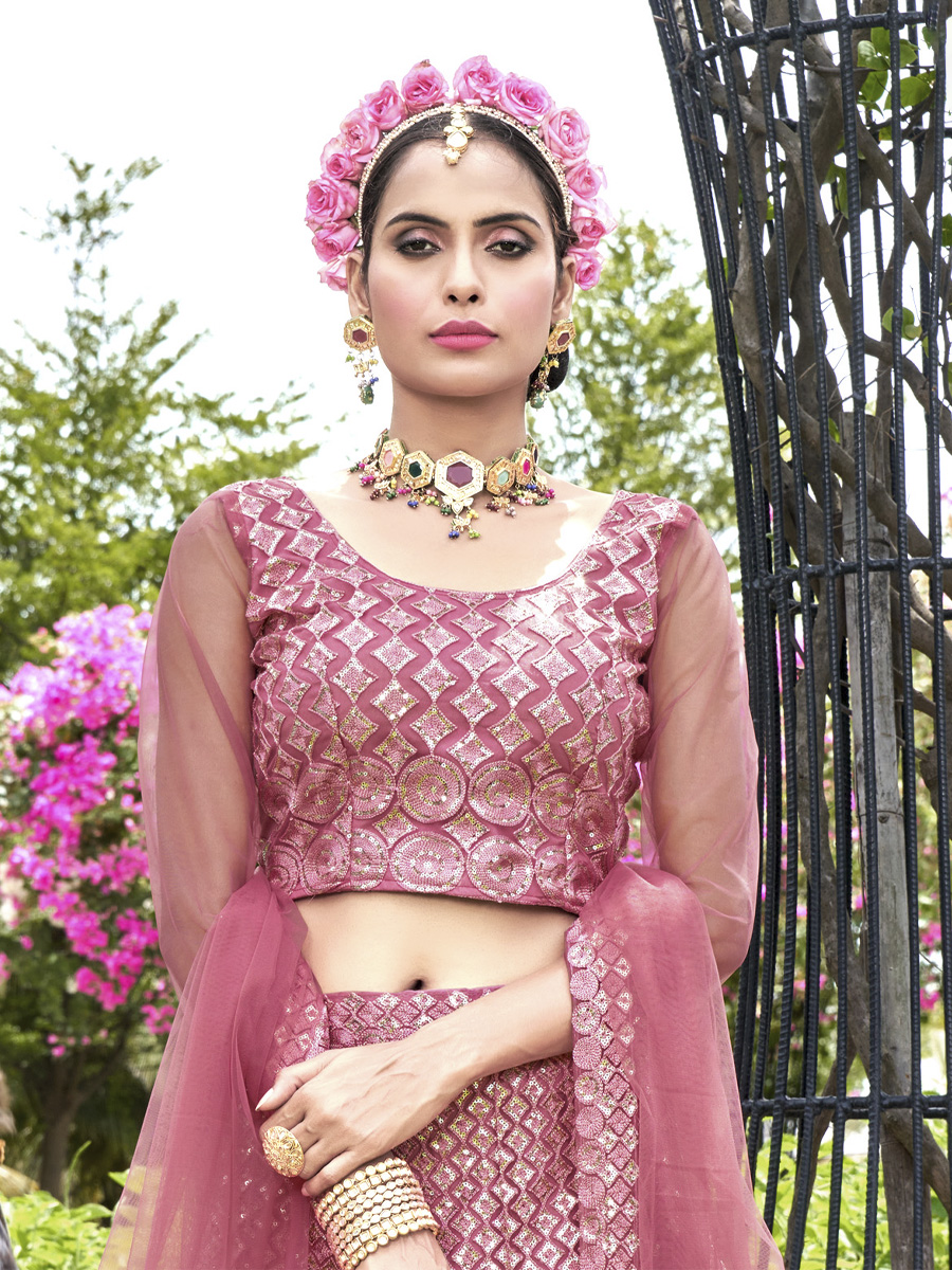 Pink Net Embroidered Party Wear Festival Heavy Border Lehenga Choli