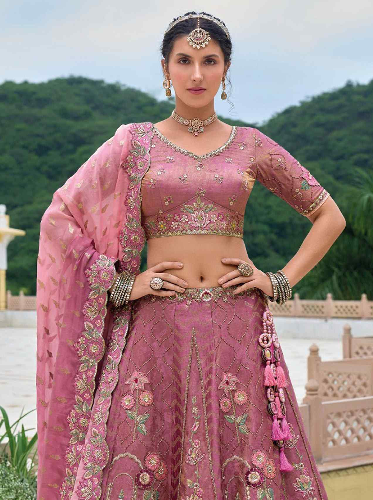 Pink Silk Embroidered Festival Reception Bridal Traditional Heavy Border Lehenga Choli