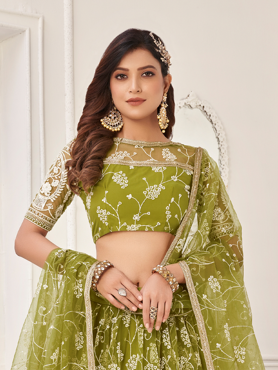 Pista Butterfly Net Embroidered Party Wear Festival Heavy Border Lehenga Choli