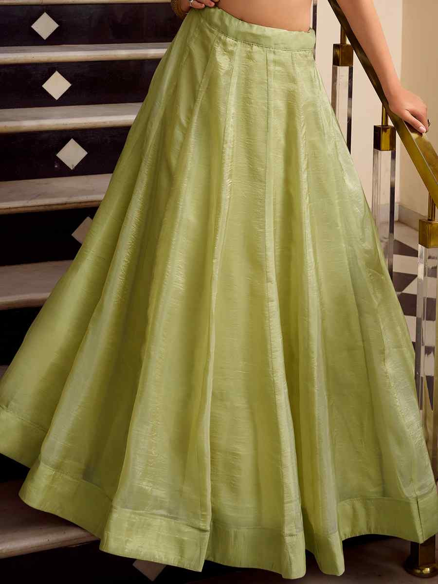 Pista Gold Crush Embroidered Reception Wedding Lehenga Choli