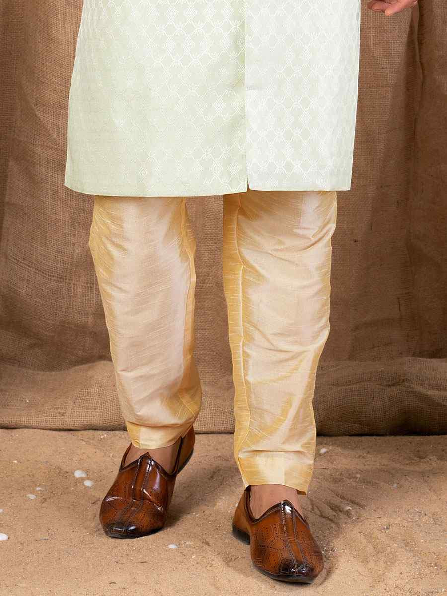 Pista Jacquard Embroidery Festival Wedding Party Mens Kurta