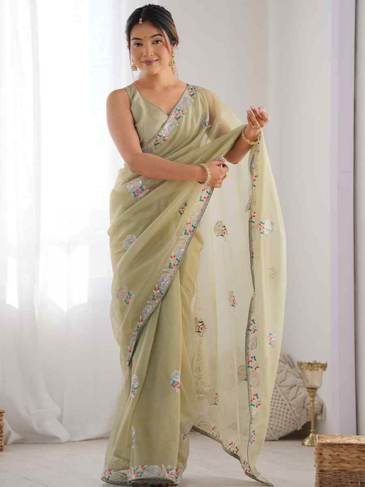 Pista Organza Embroidered Festival Wedding Fancy Heavy Border Saree