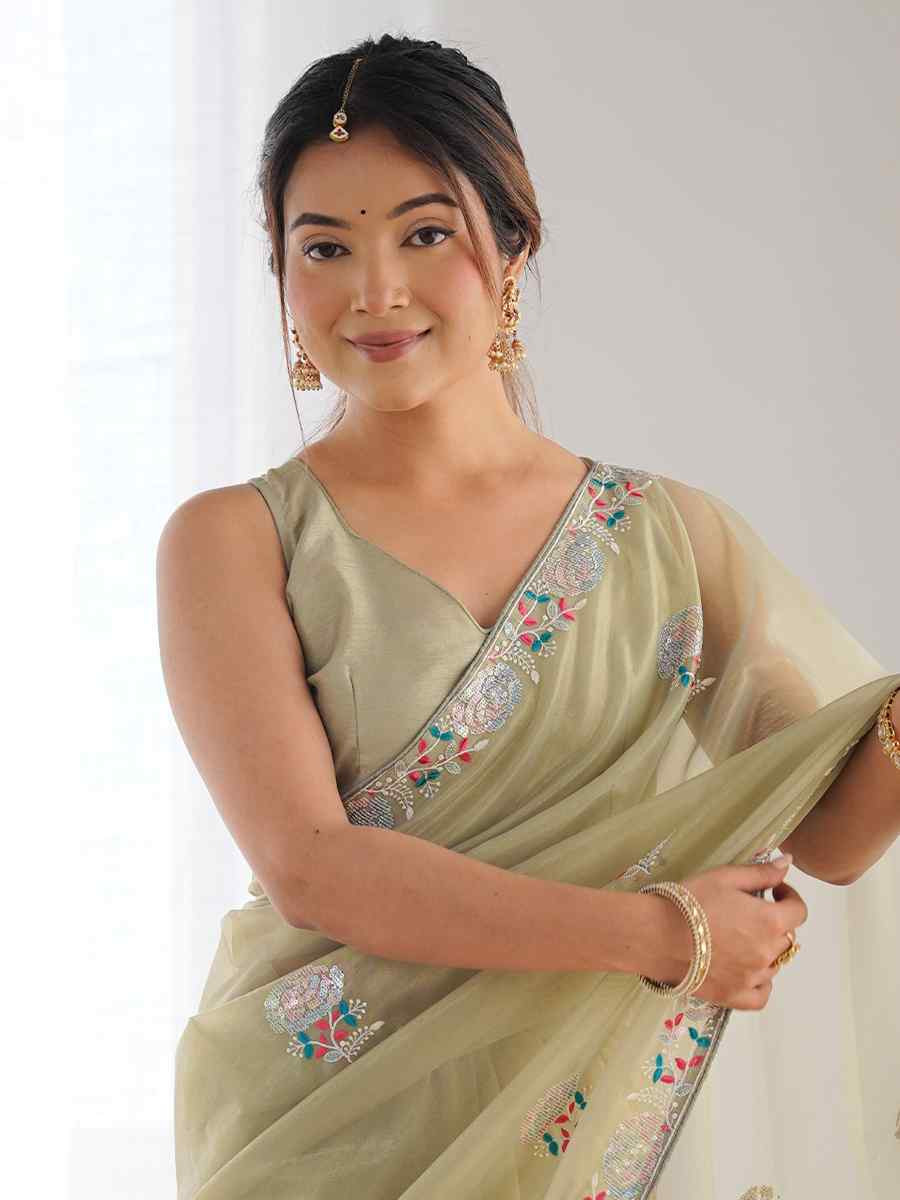 Pista Organza Embroidered Festival Wedding Fancy Heavy Border Saree