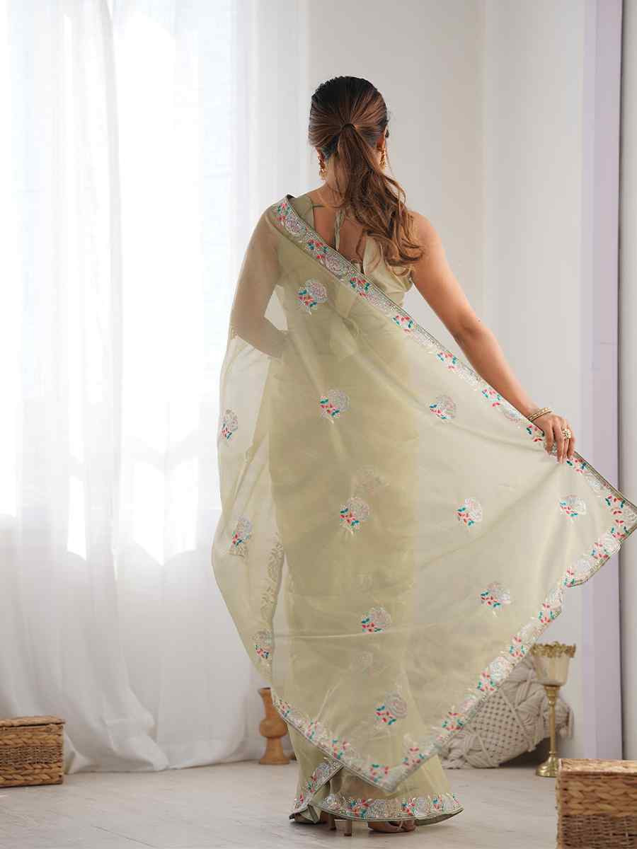 Pista Organza Embroidered Festival Wedding Fancy Heavy Border Saree