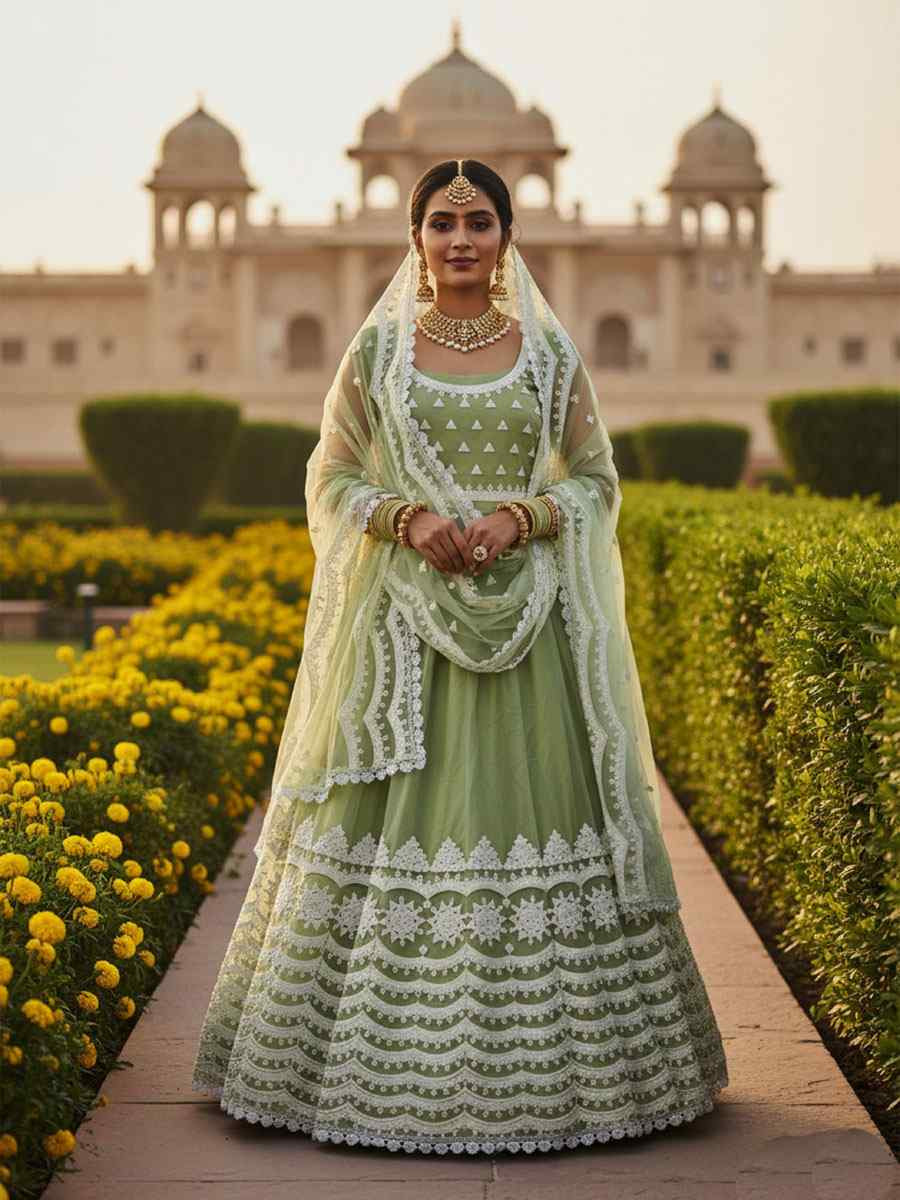 Pista Pure Butterfly Net Embroidery Wedding Reception Festival Heavy Border Lehenga Choli