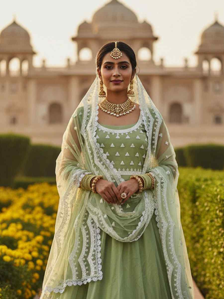 Pista Pure Butterfly Net Embroidery Wedding Reception Festival Heavy Border Lehenga Choli