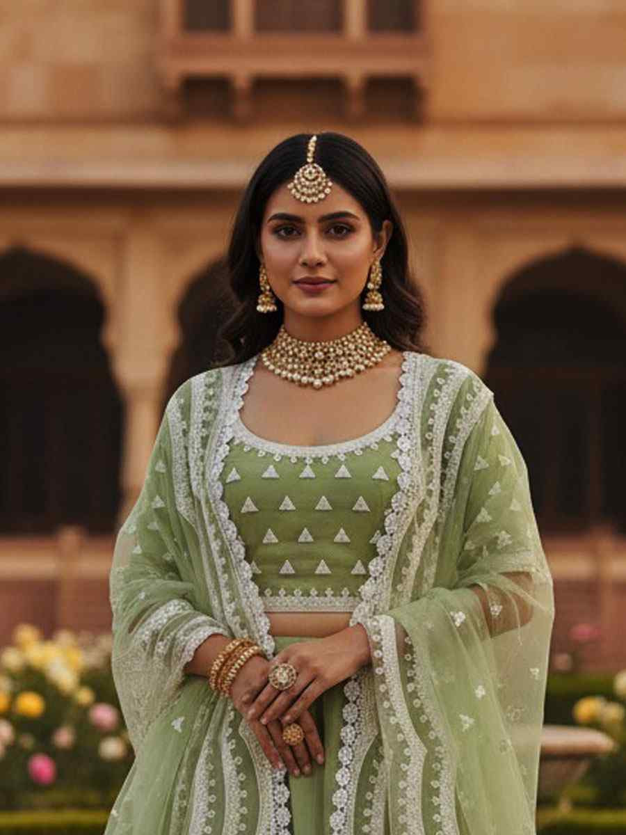 Pista Pure Butterfly Net Embroidery Wedding Reception Festival Heavy Border Lehenga Choli