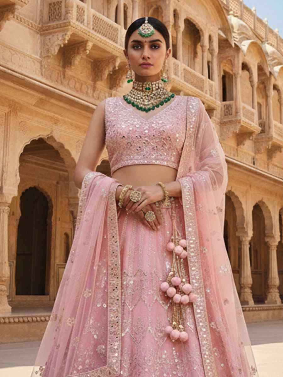 Pyaji Net Embroidered Bridal Wedding Reception Festival Heavy Border Lehenga Choli