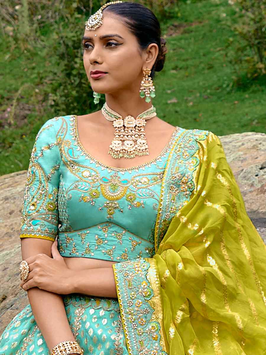 Rama Pure Raw Silk Embroidered Bridal Wedding Heavy Border Lehenga Choli