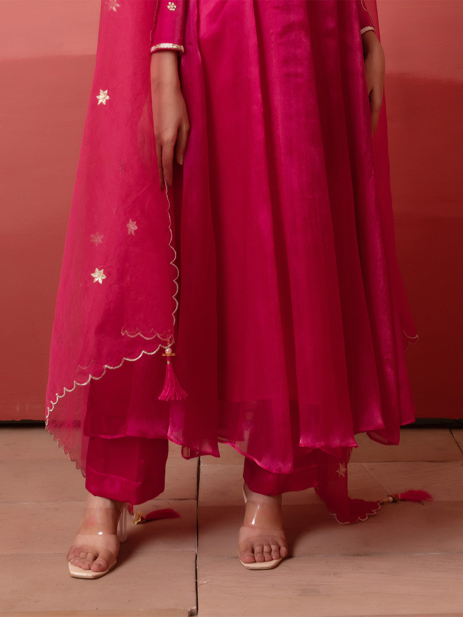 Rani Organza Embroidery Wedding Party Festival Casual Ready Anarkali Pant Salwar Kameez