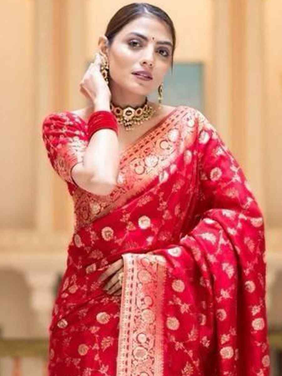 Red Banarasi Soft Silk Handwoven Wedding Festival Heavy Border Saree