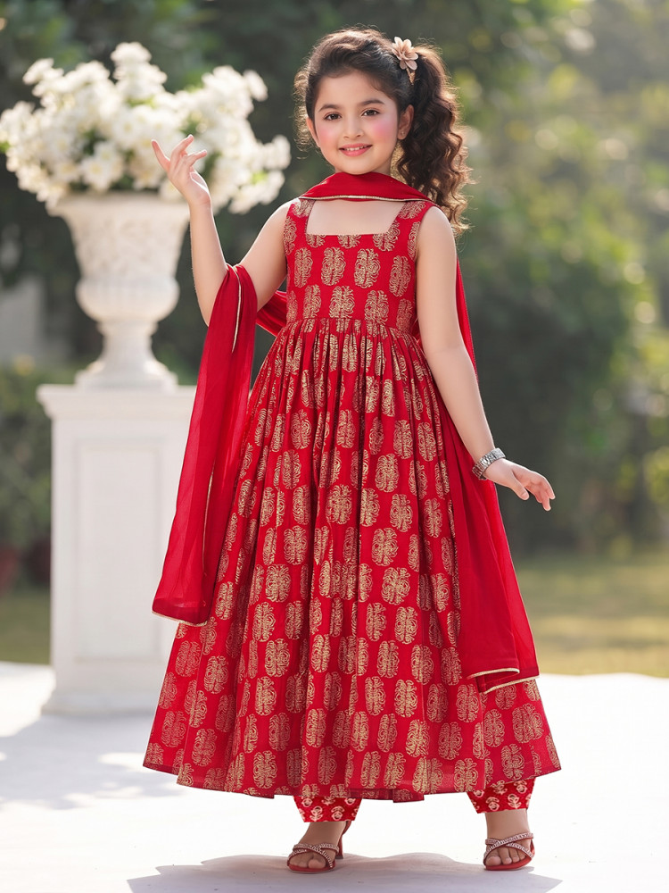 Image of Red Muslin Printed Ethnic Casual Festival Party Wedding Gown