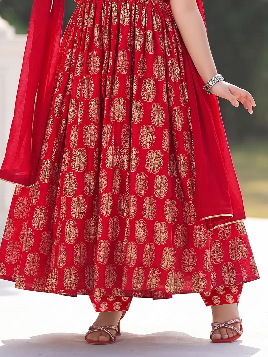 Red Muslin Printed Ethnic Casual Festival Party Wedding Gown