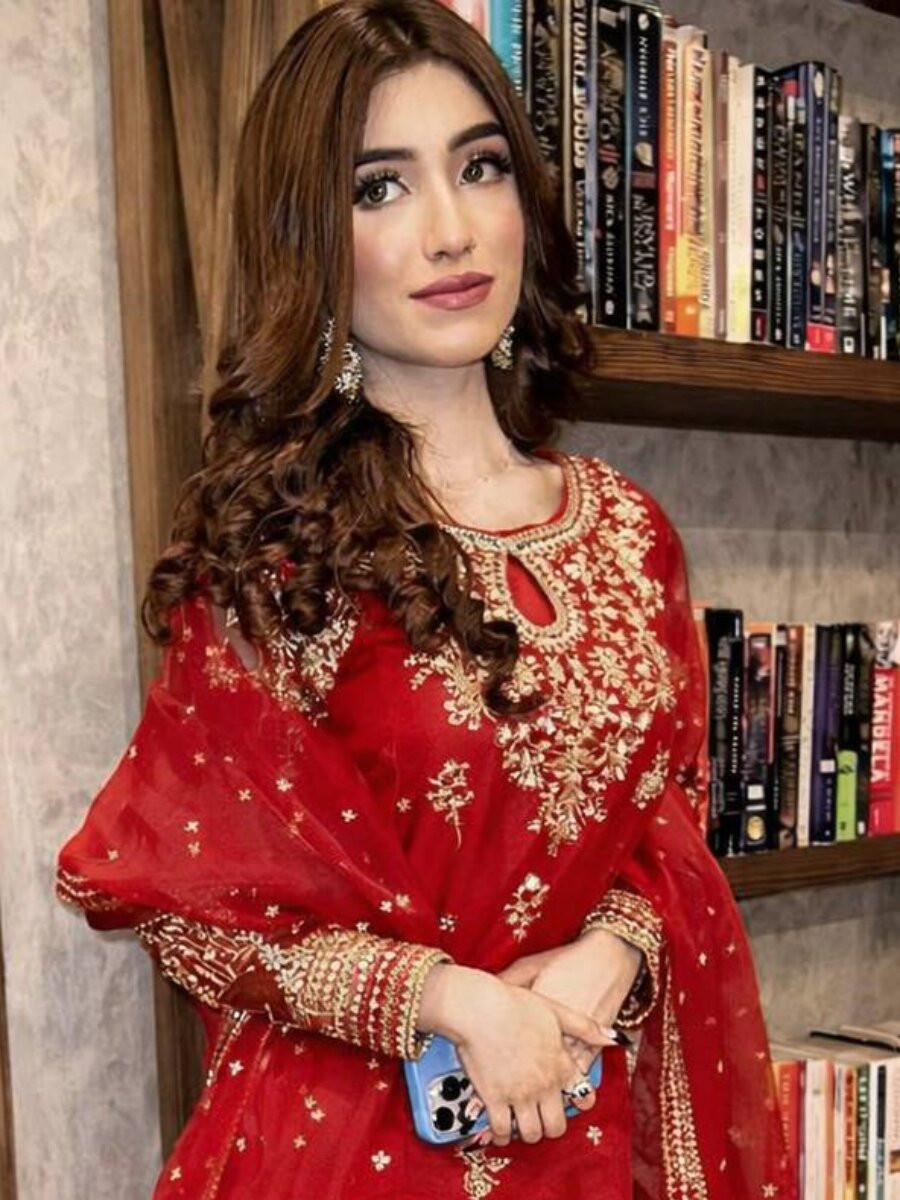 Red Organza silk Embroidery Zari Sequins Wedding Party Festival Casual Ready Palazzo Pant Salwar Kameez
