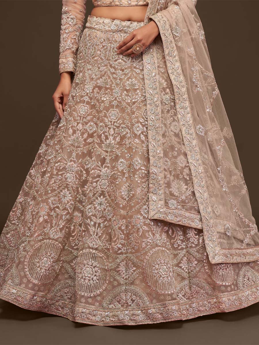 Royal Beige Soft Net Embroidered Engagement Wedding Heavy Border Lehenga Choli