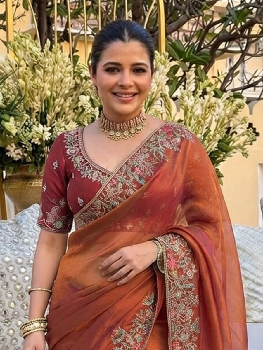 Rust Fendy Satin Silk Embroidery Wedding Reception Party Festival Casual Heavy Border Sarees