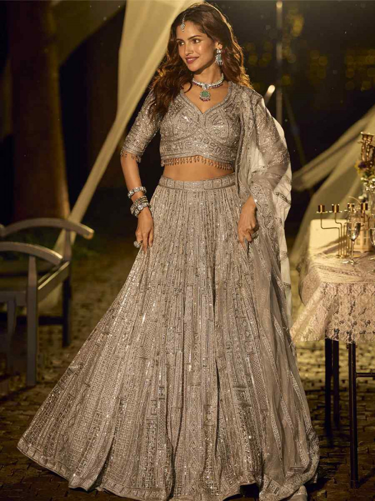 Image of Silver Grey Pure Net Embroidered Wedding Reception Festival Heavy Border Lehenga Choli