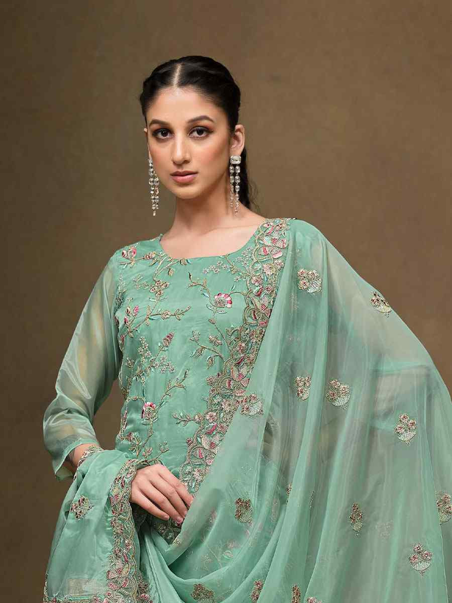 Sky Blue Crystal Organza Embroidered Casual Festival Pant Salwar Kameez
