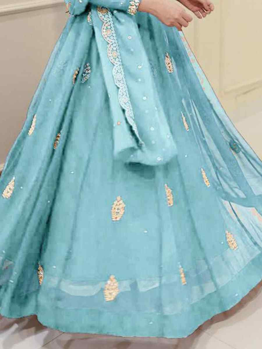 Sky Blue georgette Embroidered Festival Casual Wedding Gown