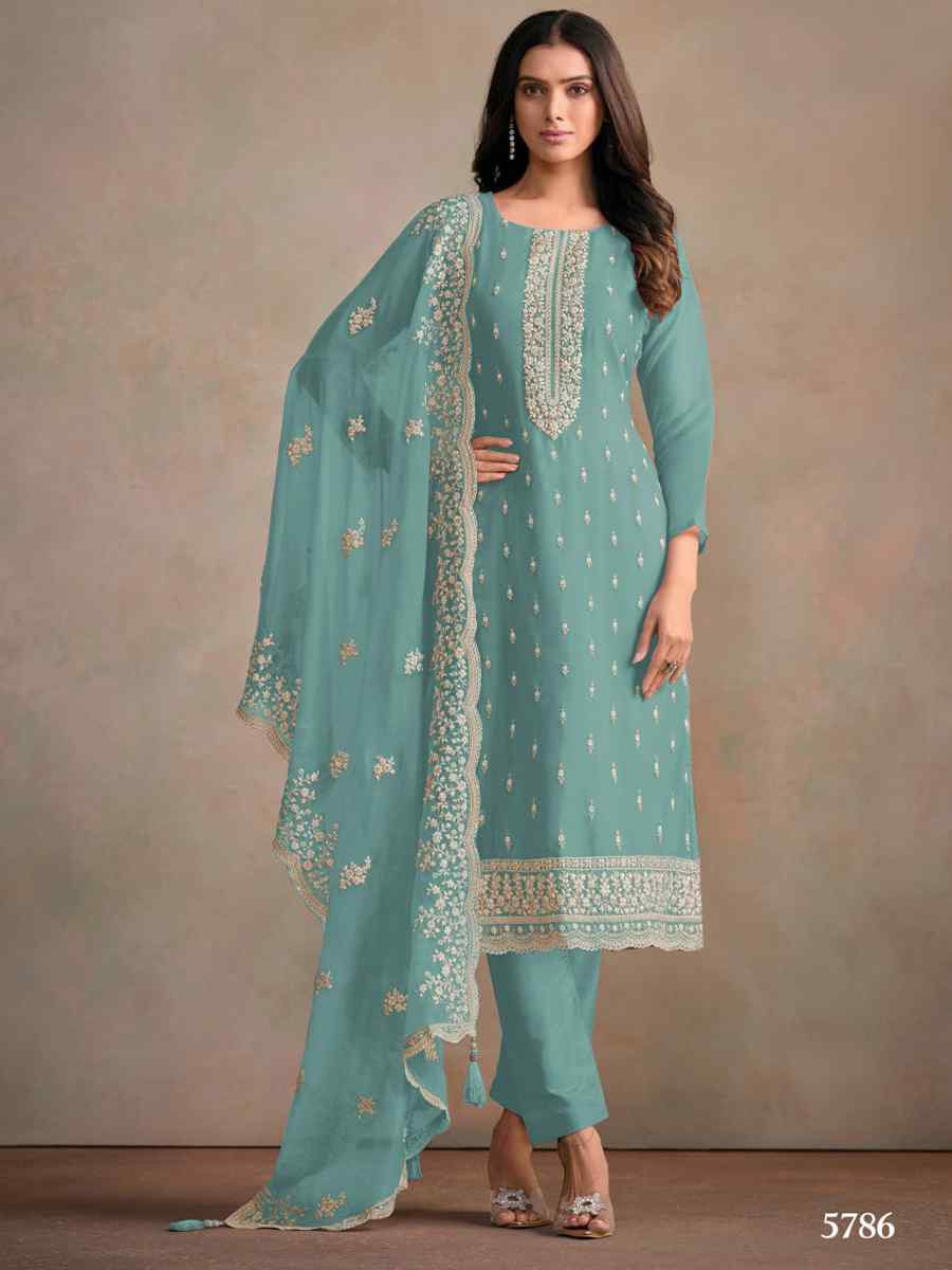 Sky Blue Heavy Orgnza Silk Embroidered Festival Casual Pant Salwar Kameez