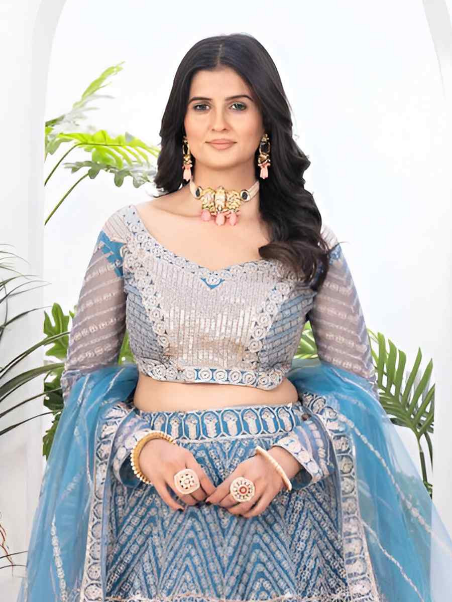 Sky blue Net Embroidered Wedding Festival Heavy Border Lehenga Choli