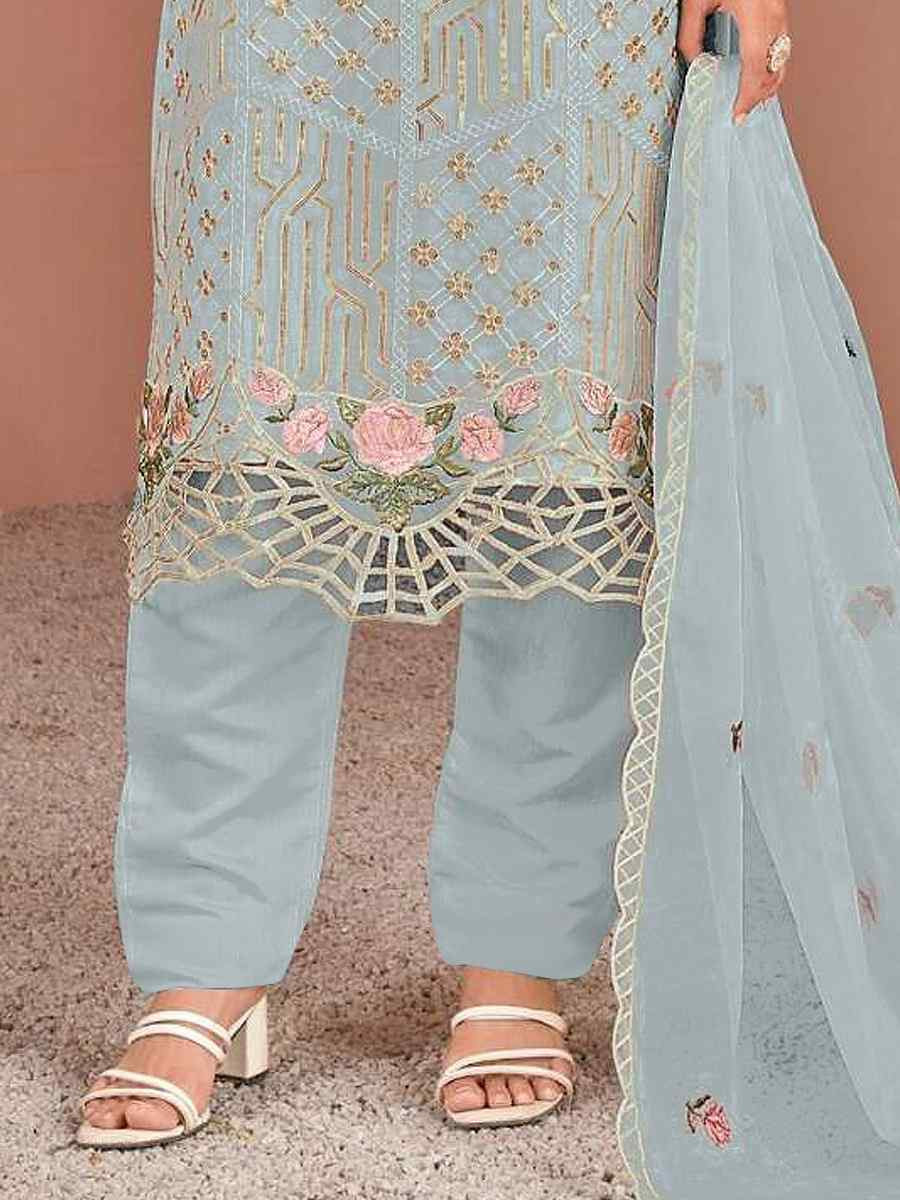 Sky Blue Nylon Organza Embroidered Festival Wedding Pant Salwar Kameez
