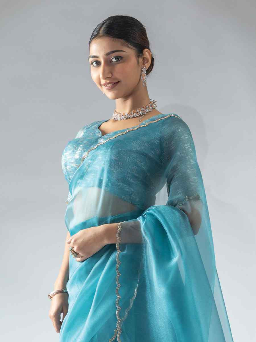 Sky Blue Pure Organza Handwoven Festival Wedding Fancy Heavy Border Saree