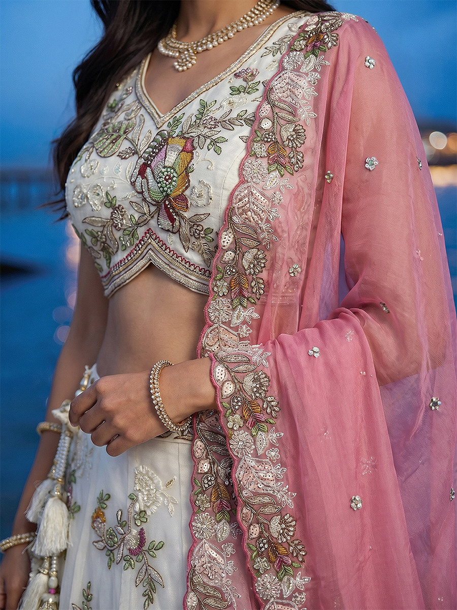 White Tissue Embroidery Wedding Reception Party Festival Heavy Border Lehenga Choli