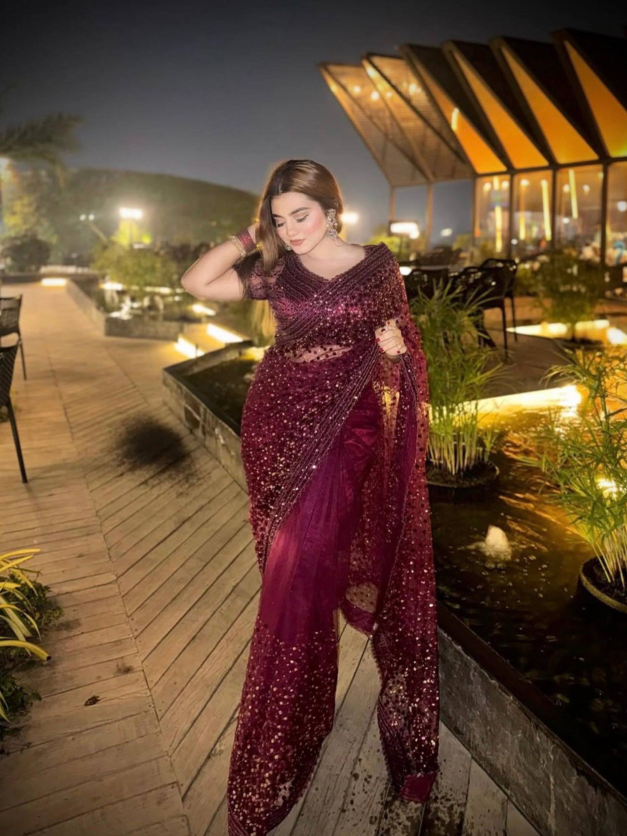 Wine Net Sequins Wedding Party Festival Cocktail Fancy Heavy Border Saree